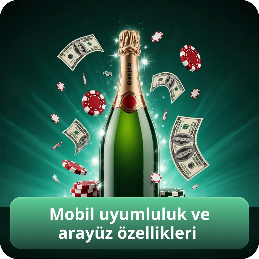 Mobil uyumluluk ve arayüz özellikleri